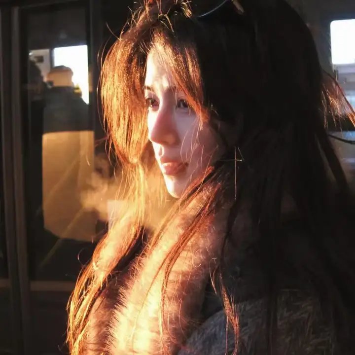 烈女与镖客 在线观看封面